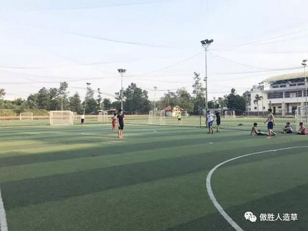 驚嘆｜高頻率使用超六年的球場(chǎng)草坪，竟顏值如新