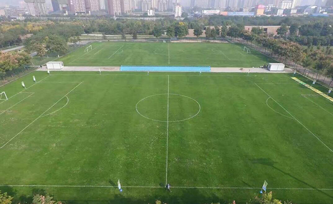為什么越來越多的學(xué)校更喜歡“安全性”更高的人造草坪呢？