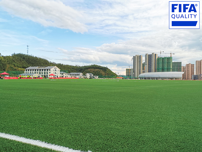 喜訊 | 江西定南國家訓練基地獲FIFA國際足聯(lián)場地認證！