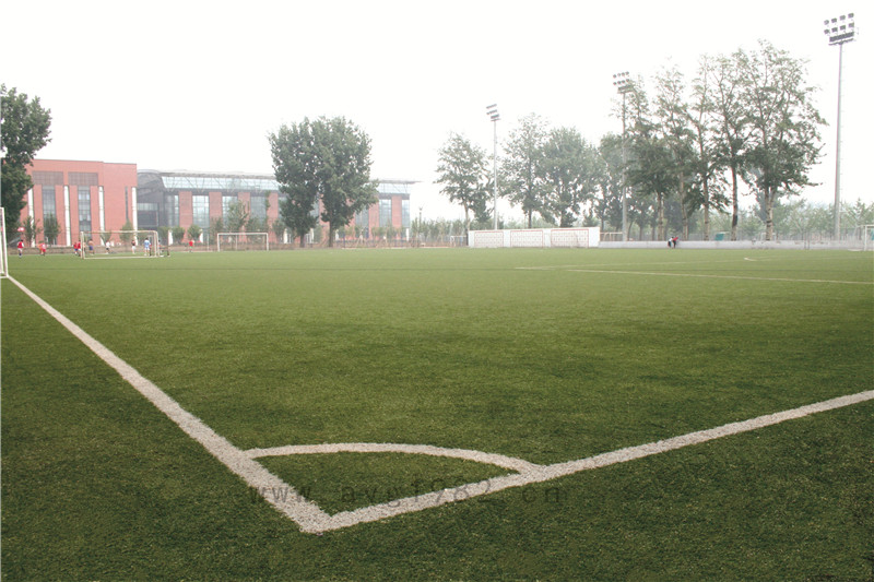 北京體育大學(xué) 北京體育大學(xué)